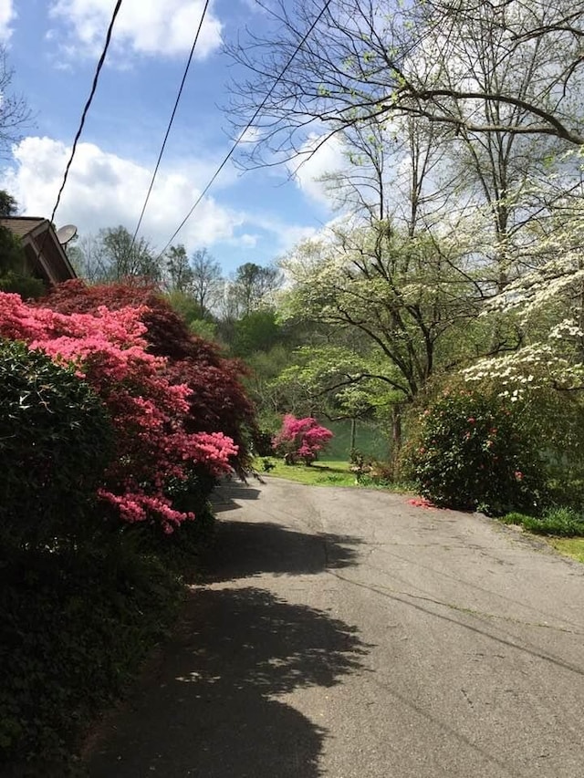 view of road