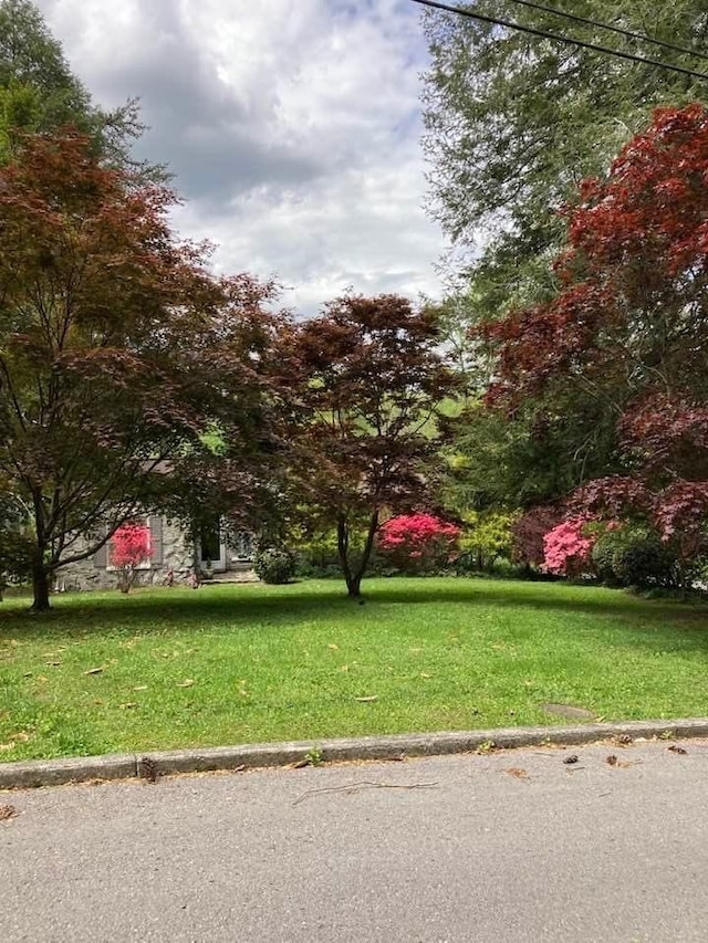 exterior space with a lawn