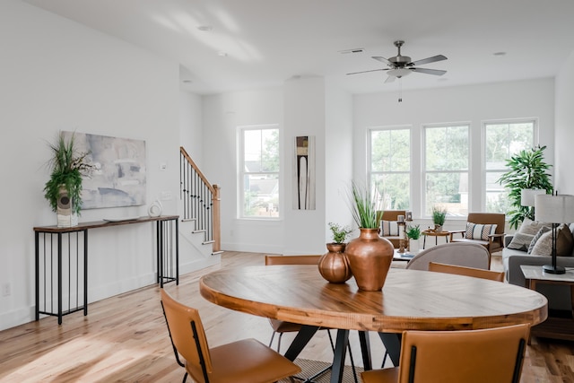 dining area with ceiling fan, a wealth of natural light, and light wood-type flooring