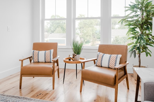 sitting room with light wood-type flooring