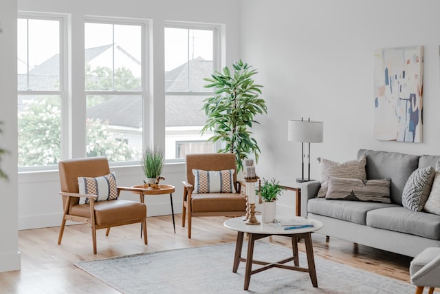 living room featuring a wealth of natural light and light hardwood / wood-style floors