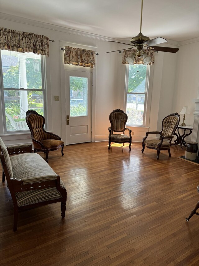 living area featuring hardwood / wood-style floors, ceiling fan, crown molding, and a wealth of natural light