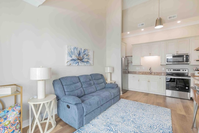 living room featuring a towering ceiling, light hardwood / wood-style floors, and sink