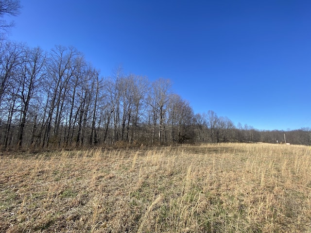 3200 Jack Saunders, Waverly TN, 37185 land for sale