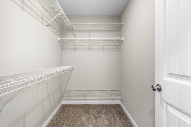 spacious closet with carpet flooring