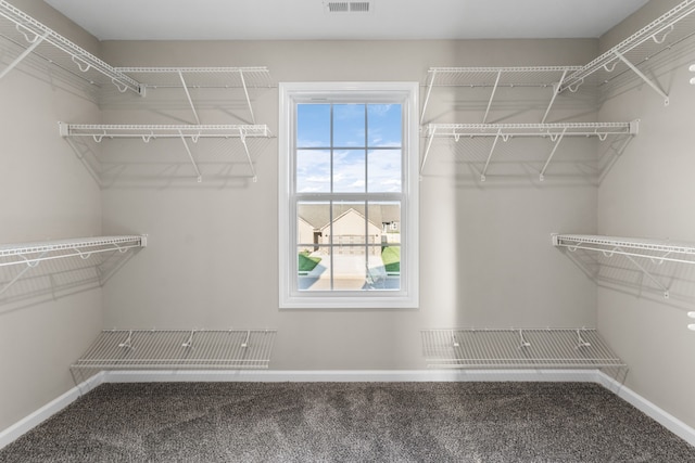 walk in closet featuring carpet