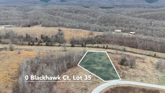 0 Blackhawk Ct, Waverly TN, 37185 land for sale