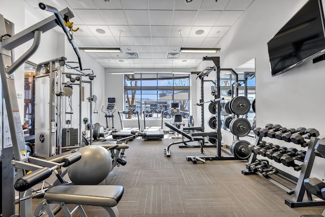 exercise room featuring a paneled ceiling and carpet floors