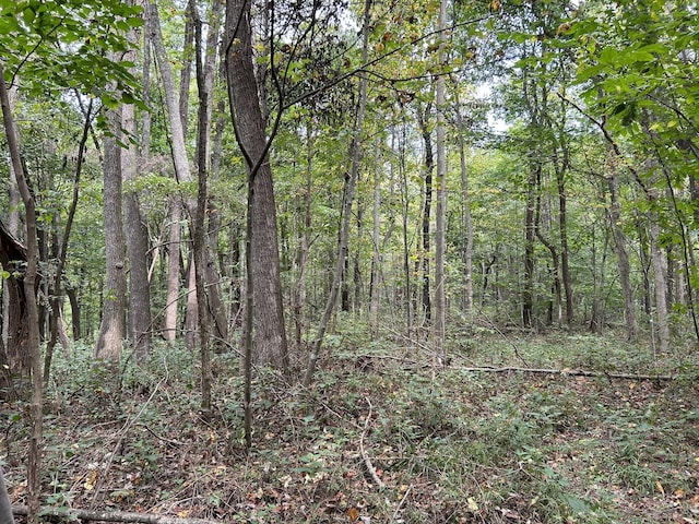 0 Ward Ln, Bethpage, TN 37022