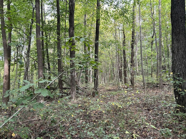 0 Ward Ln, Bethpage, TN 37022