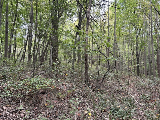 0 Ward Ln, Bethpage, TN 37022
