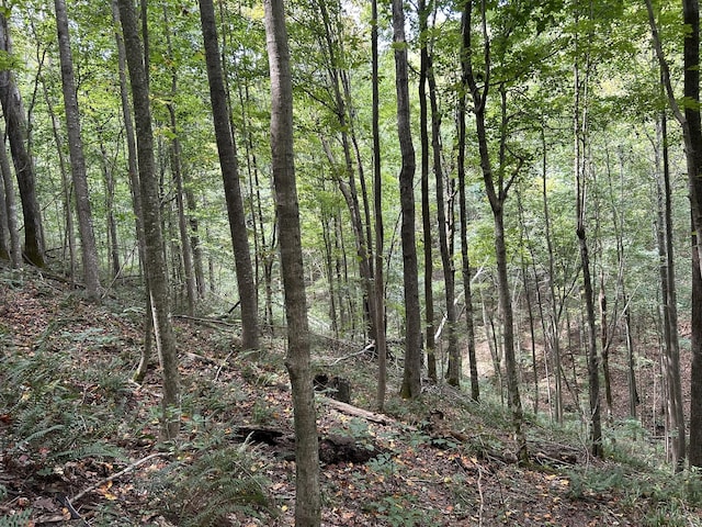 0 Ward Ln, Bethpage, TN 37022