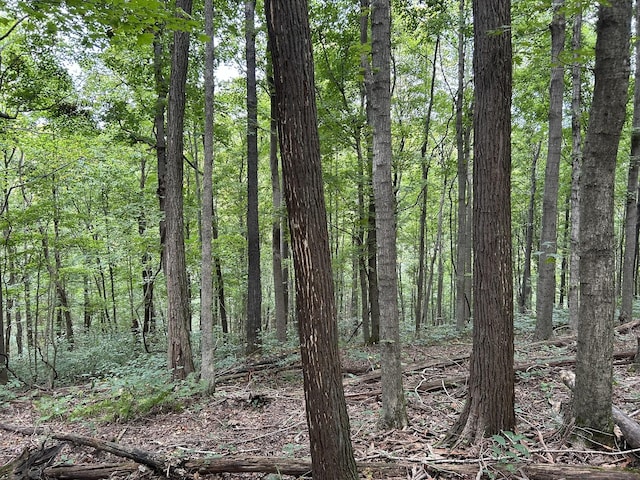 0 Ward Ln, Bethpage, TN 37022