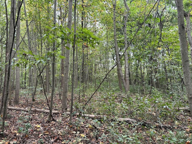 0 Ward Ln, Bethpage, TN 37022