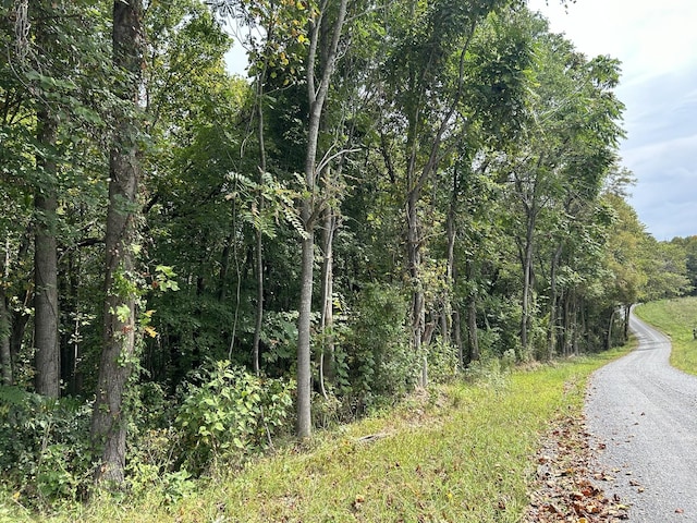0 Ward Ln, Bethpage, TN 37022