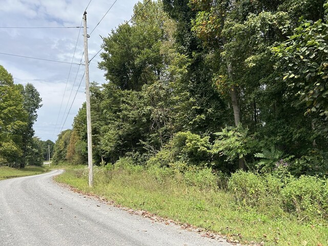 0 Ward Ln, Bethpage, TN 37022