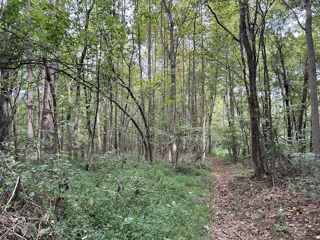 0 Ward Ln, Bethpage, TN 37022