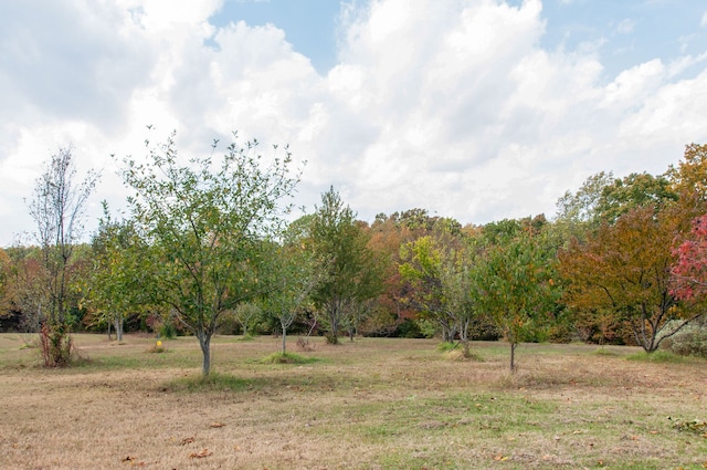 view of local wilderness featuring a rural view