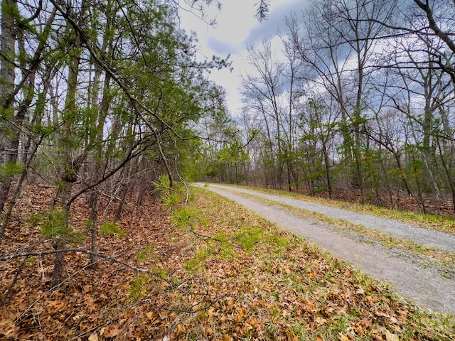 133 Thornhill Ln, Crossville TN, 38558 land for sale