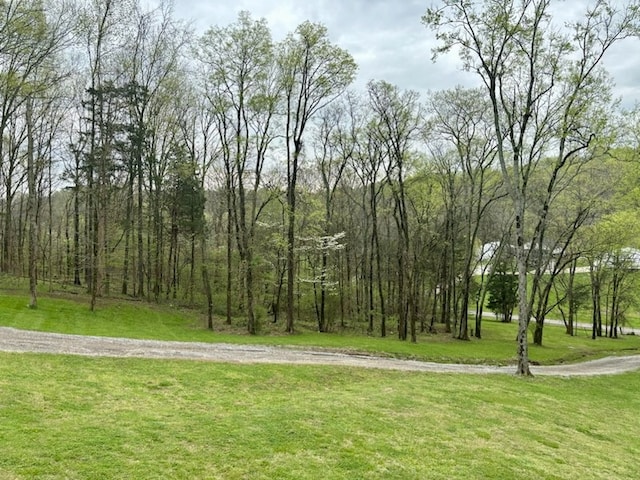 surrounding community featuring a lawn