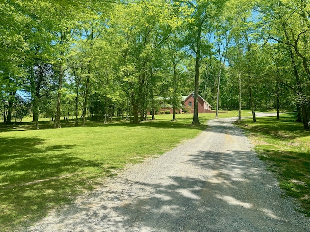 view of nearby features with a lawn