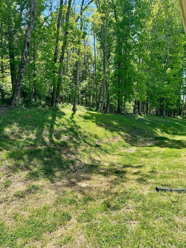 view of local wilderness