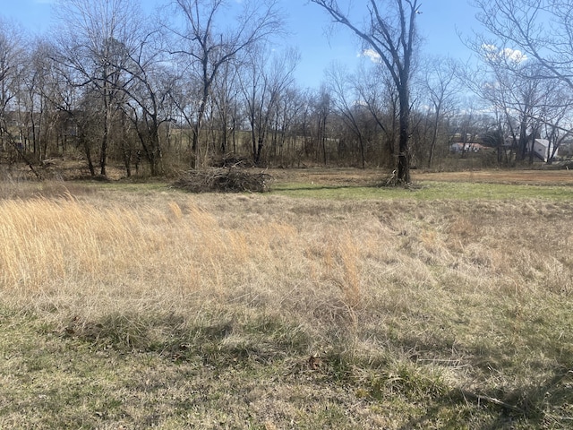 view of local wilderness