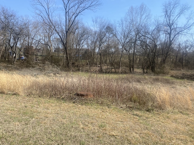 view of local wilderness