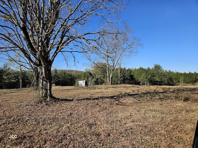 9651 Halls Hill Pike, Milton, TN 37118 - photo 11