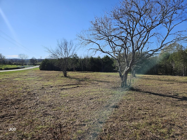 9651 Halls Hill Pike, Milton, TN 37118 - photo 10