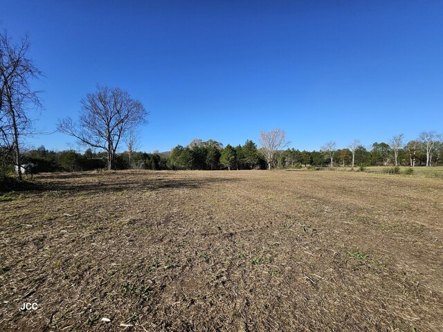 9651 Halls Hill Pike, Milton, TN 37118 - photo 16