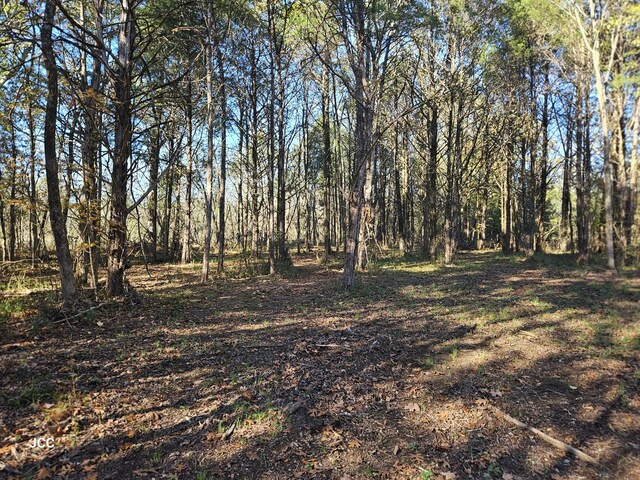 9651 Halls Hill Pike, Milton, TN 37118 - photo 20