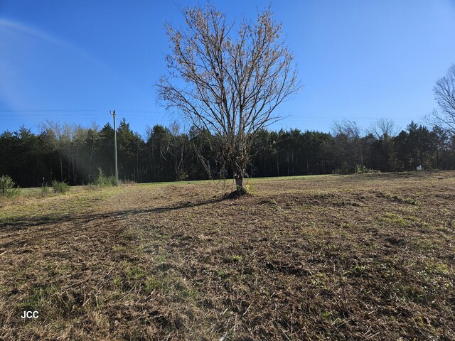 9651 Halls Hill Pike, Milton, TN 37118 - photo 13