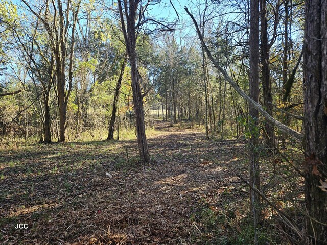 9651 Halls Hill Pike, Milton, TN 37118 - photo 15