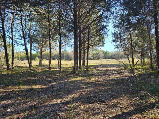 9651 Halls Hill Pike, Milton, TN 37118 - photo 26