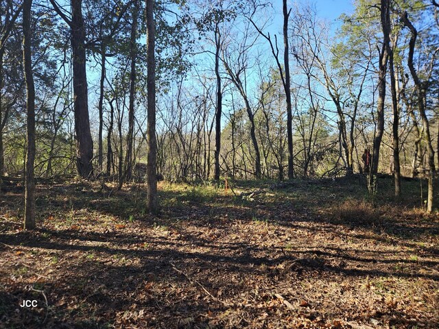 9651 Halls Hill Pike, Milton, TN 37118 - photo 28