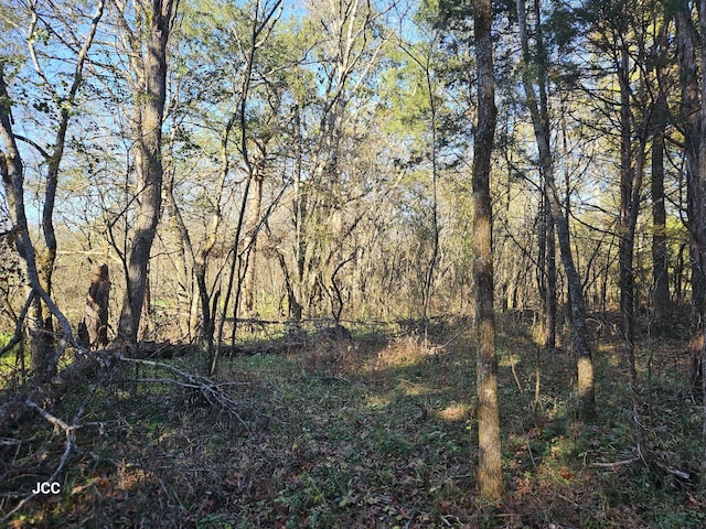 9651 Halls Hill Pike, Milton, TN 37118 - photo 23