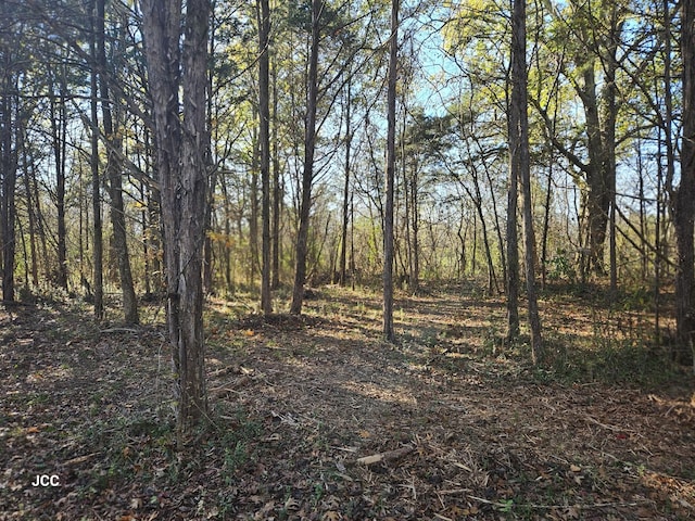 9651 Halls Hill Pike, Milton, TN 37118 - photo 22