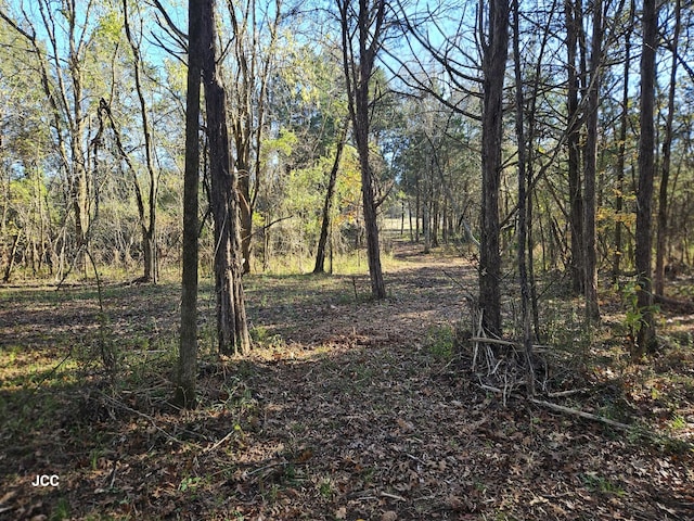9651 Halls Hill Pike, Milton, TN 37118 - photo 27