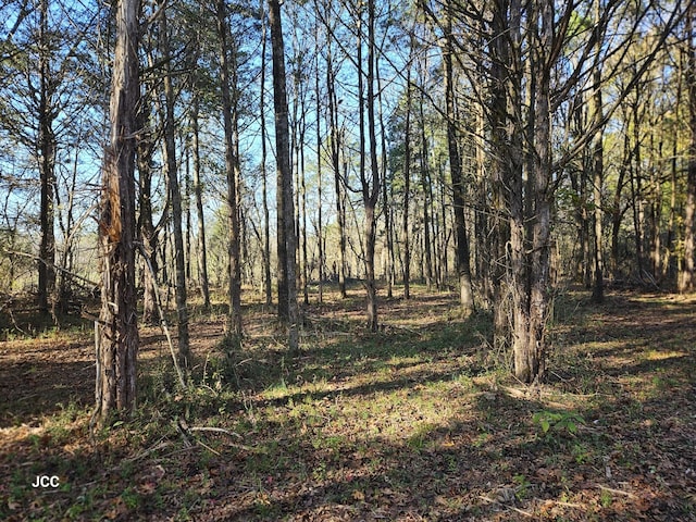 9651 Halls Hill Pike, Milton, TN 37118 - photo 21