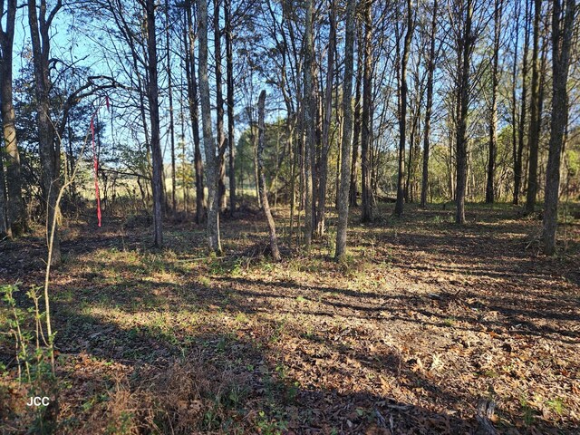 9651 Halls Hill Pike, Milton, TN 37118 - photo 24