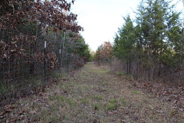 view of local wilderness