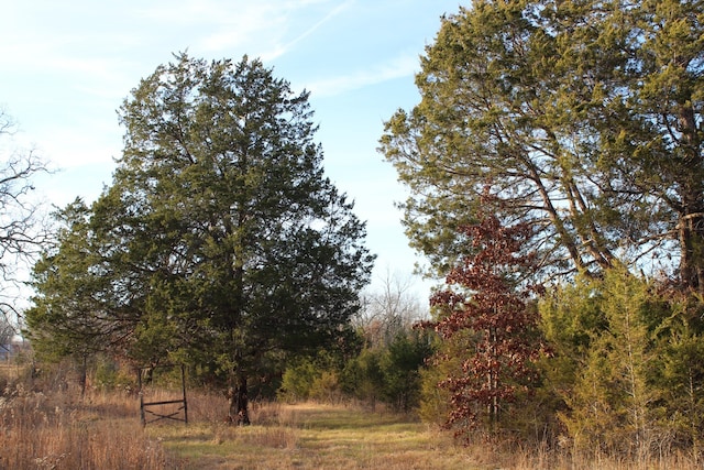 view of nature