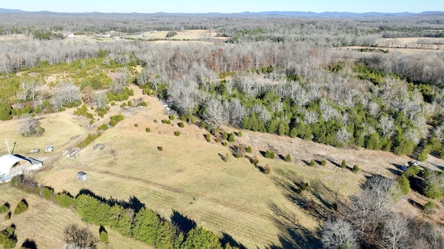 view of aerial view