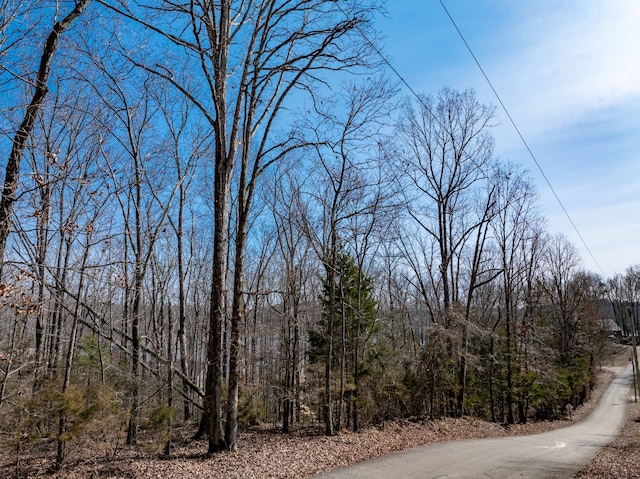 Listing photo 2 for 0 Fawn Ridge Rd, Parsons TN 38363