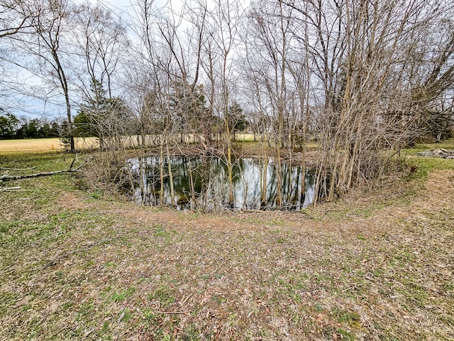 view of water feature