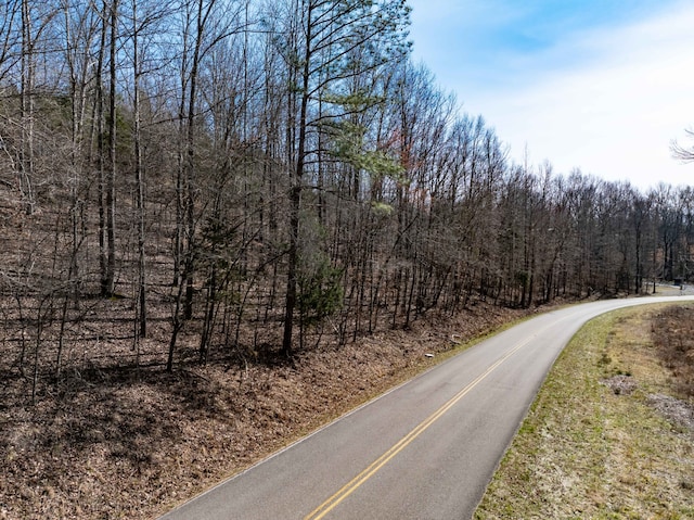 Listing photo 3 for 0 Deer Hollow Dr, Parsons TN 38363