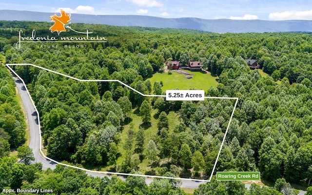 252 Roaring Creek Rd, Dunlap TN, 37327 land for sale