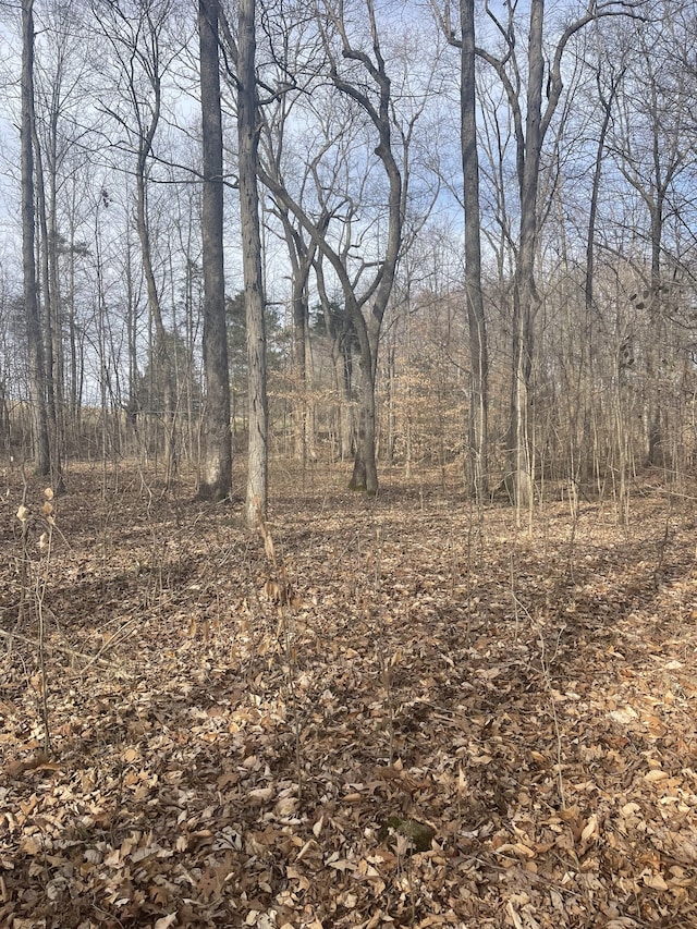 0 Dobbins Pike, Portland TN, 37148 land for sale