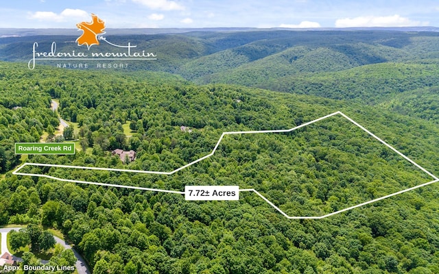 291 Roaring Creek Rd, Dunlap TN, 37327 land for sale